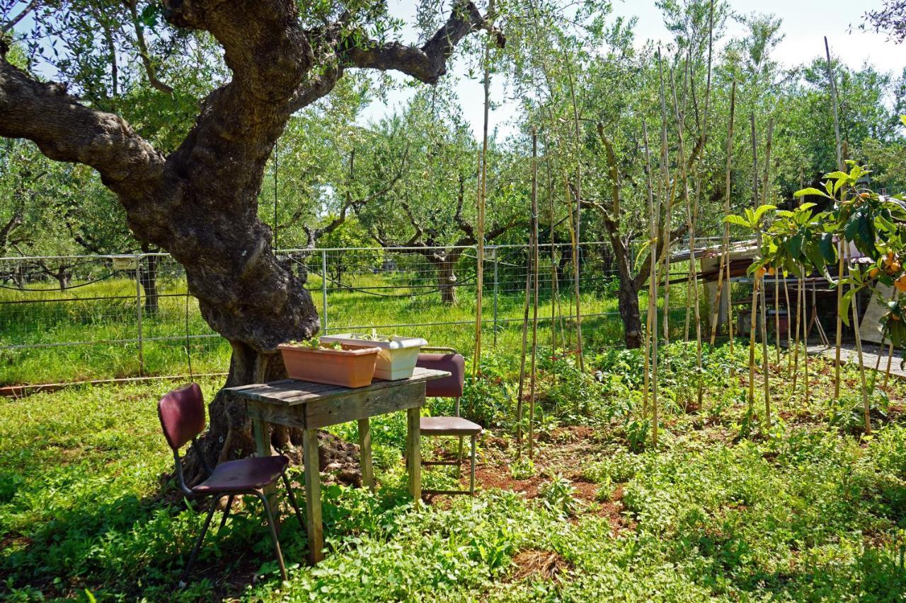 Veni Olive House Vila Calamata Exterior foto