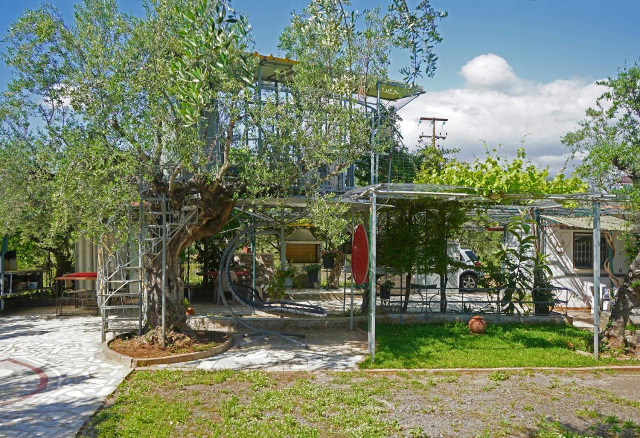 Veni Olive House Vila Calamata Exterior foto