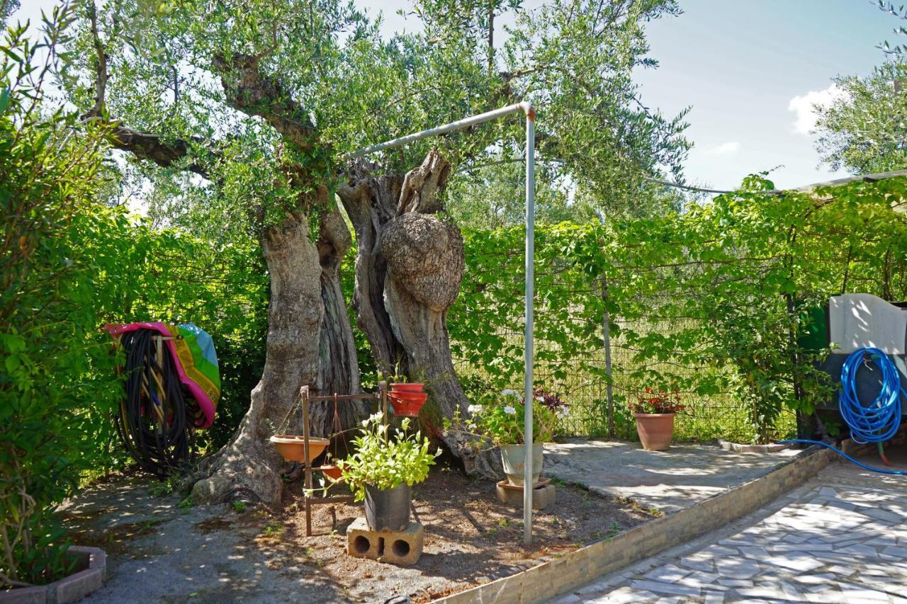 Veni Olive House Vila Calamata Exterior foto