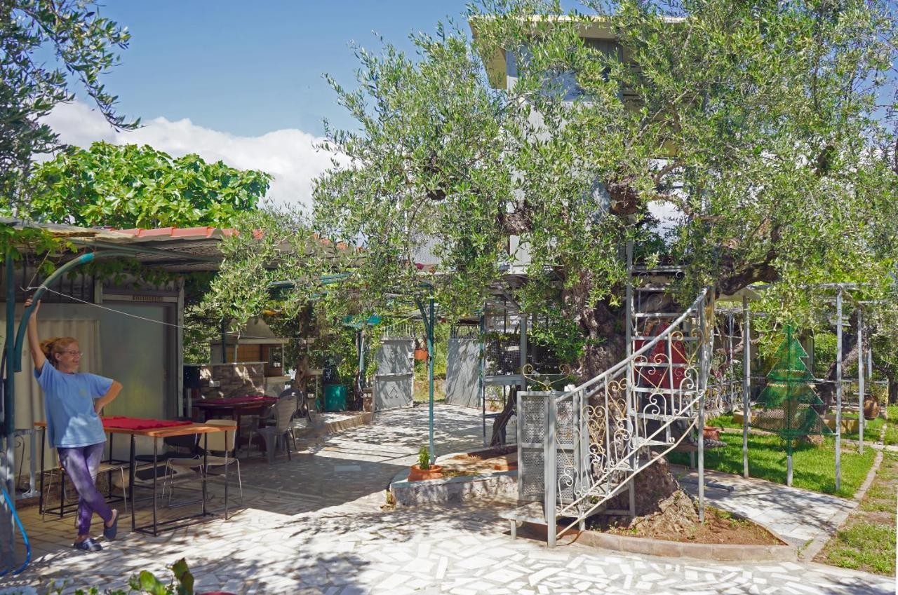 Veni Olive House Vila Calamata Exterior foto