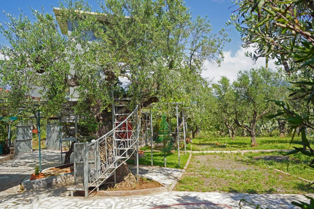 Veni Olive House Vila Calamata Exterior foto